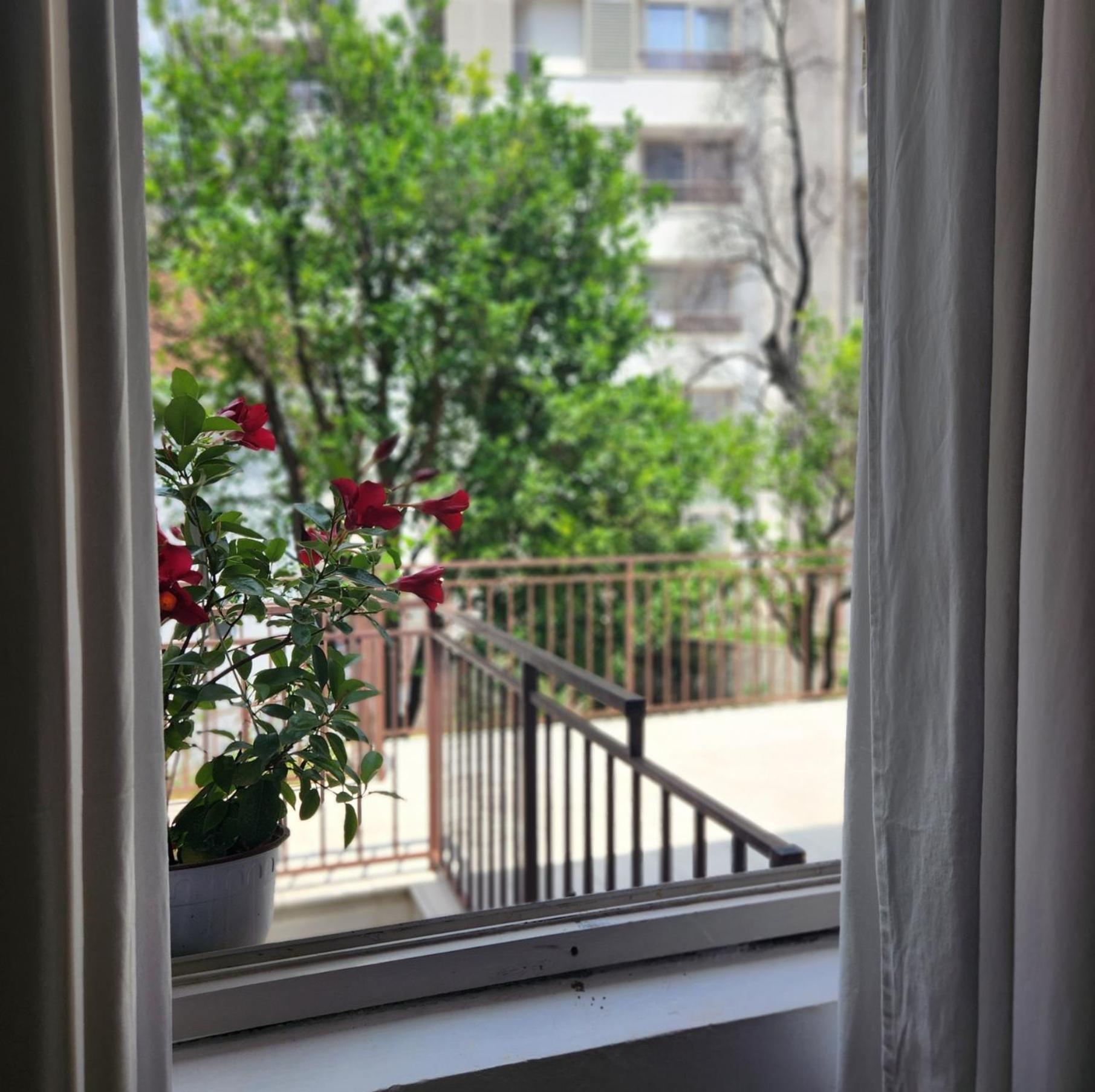 רפאלוביץ' Bela Kuca Studio Apartments-Na Korak Do Mora-A Step To The Sea מראה חיצוני תמונה